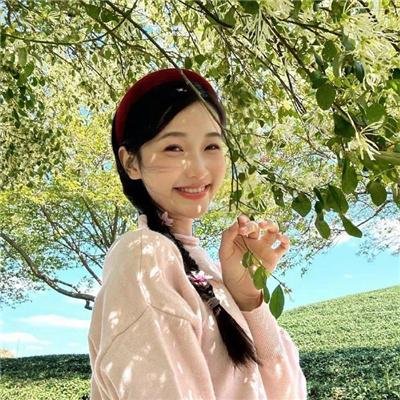 布拉多