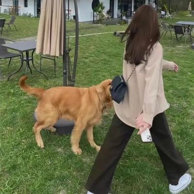 哈哈没烦恼