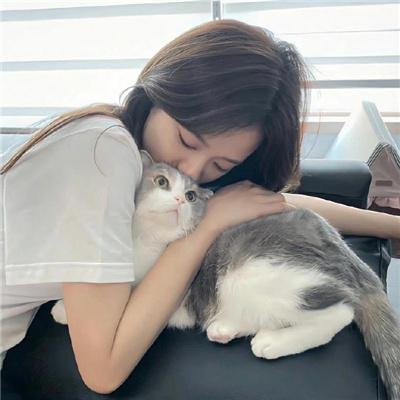 乔西的虎与鱼